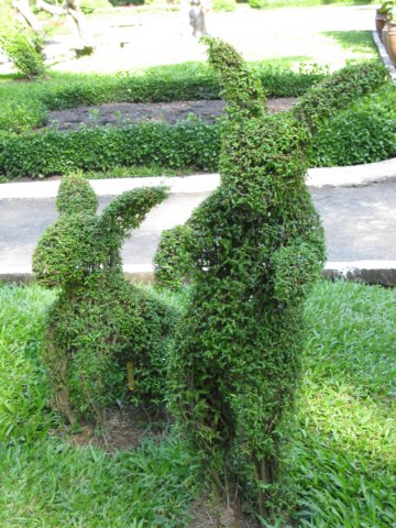 topiary2.jpg